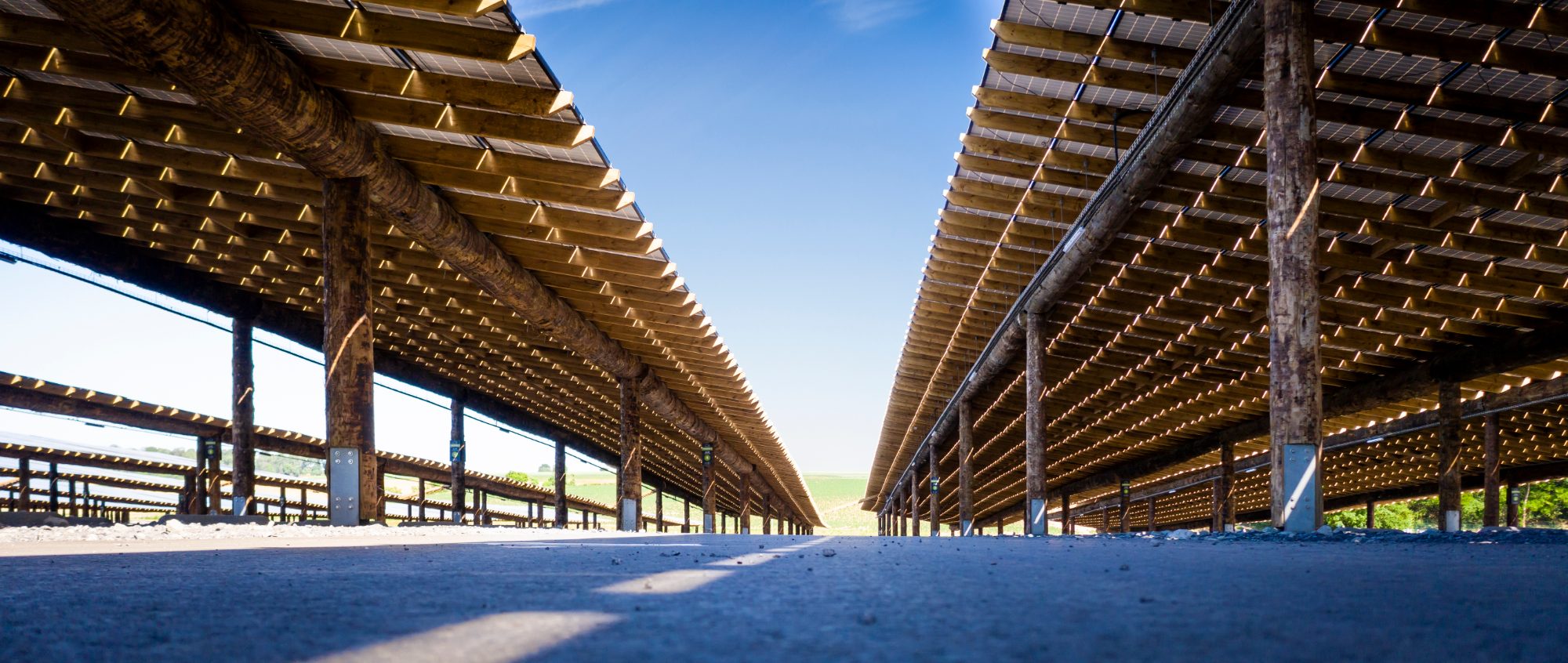 Pairi Daiza project